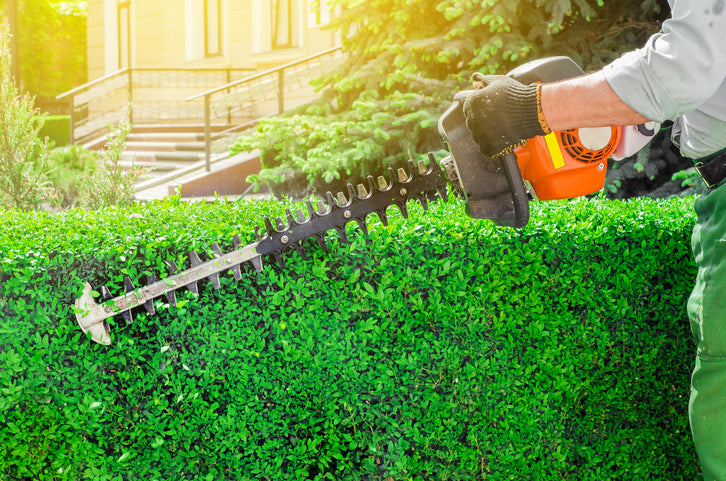 The Ultimate Guide On All You Need To Know About Stihl Hedge Trimmers