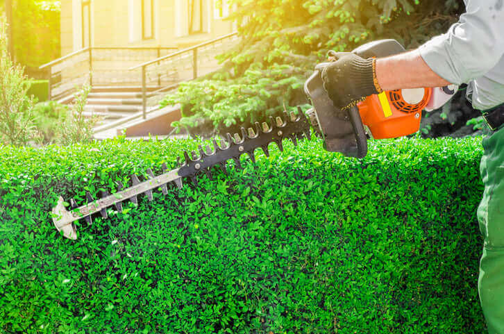 How To Care For Your Hedges In Winter