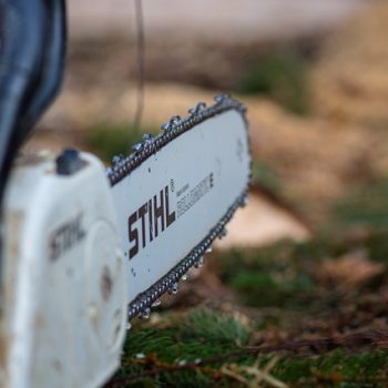 The Ultimate Guide On Everything You Need To Know About Stihl Chainsaws