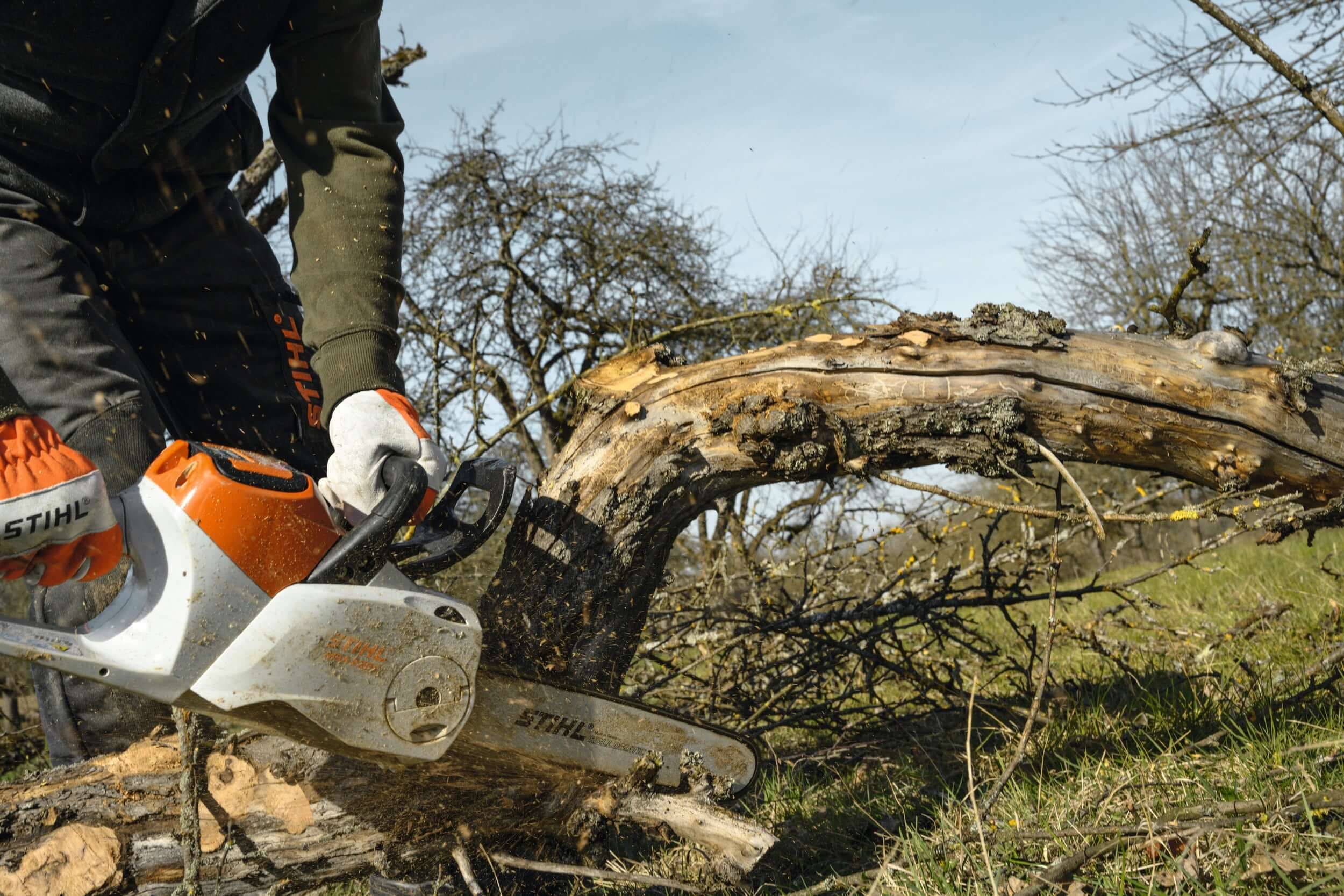 STIHL Forestry Work Chainsaws