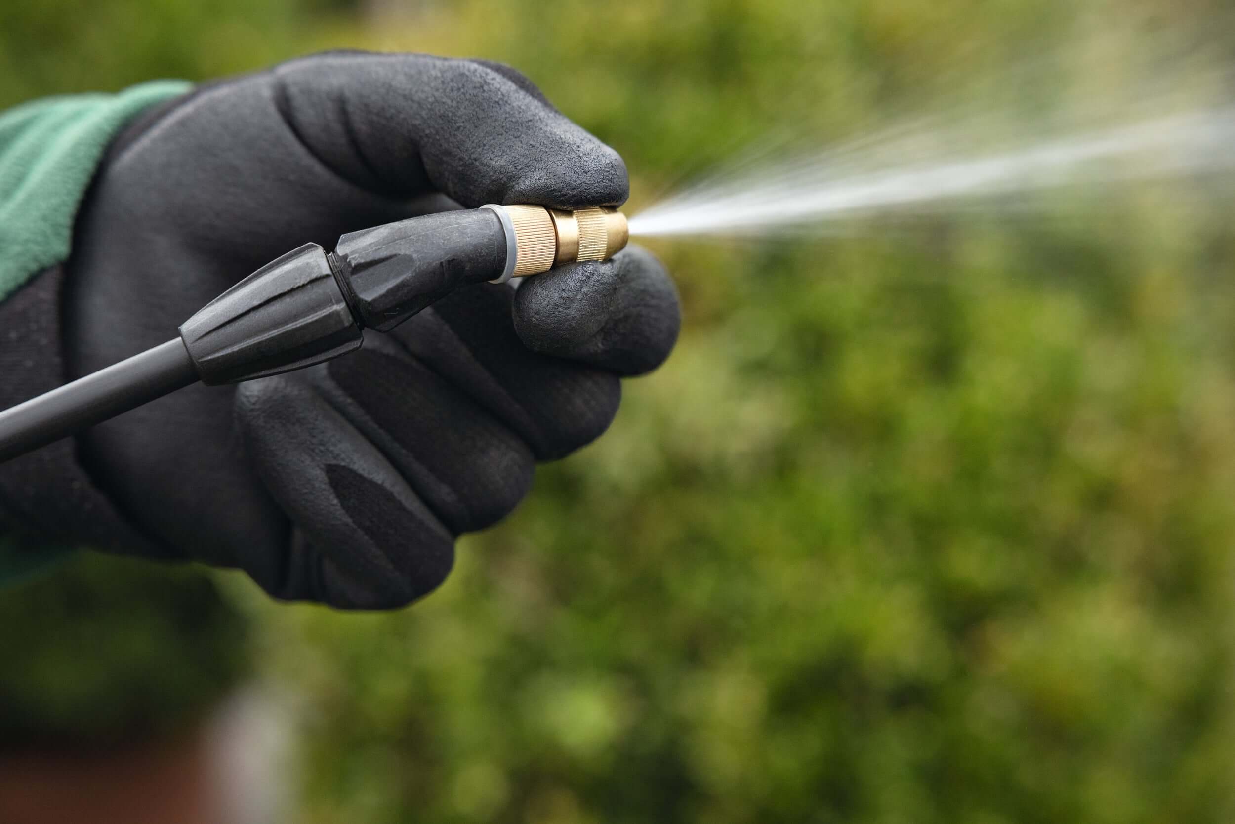 STIHL garden sprayer in action