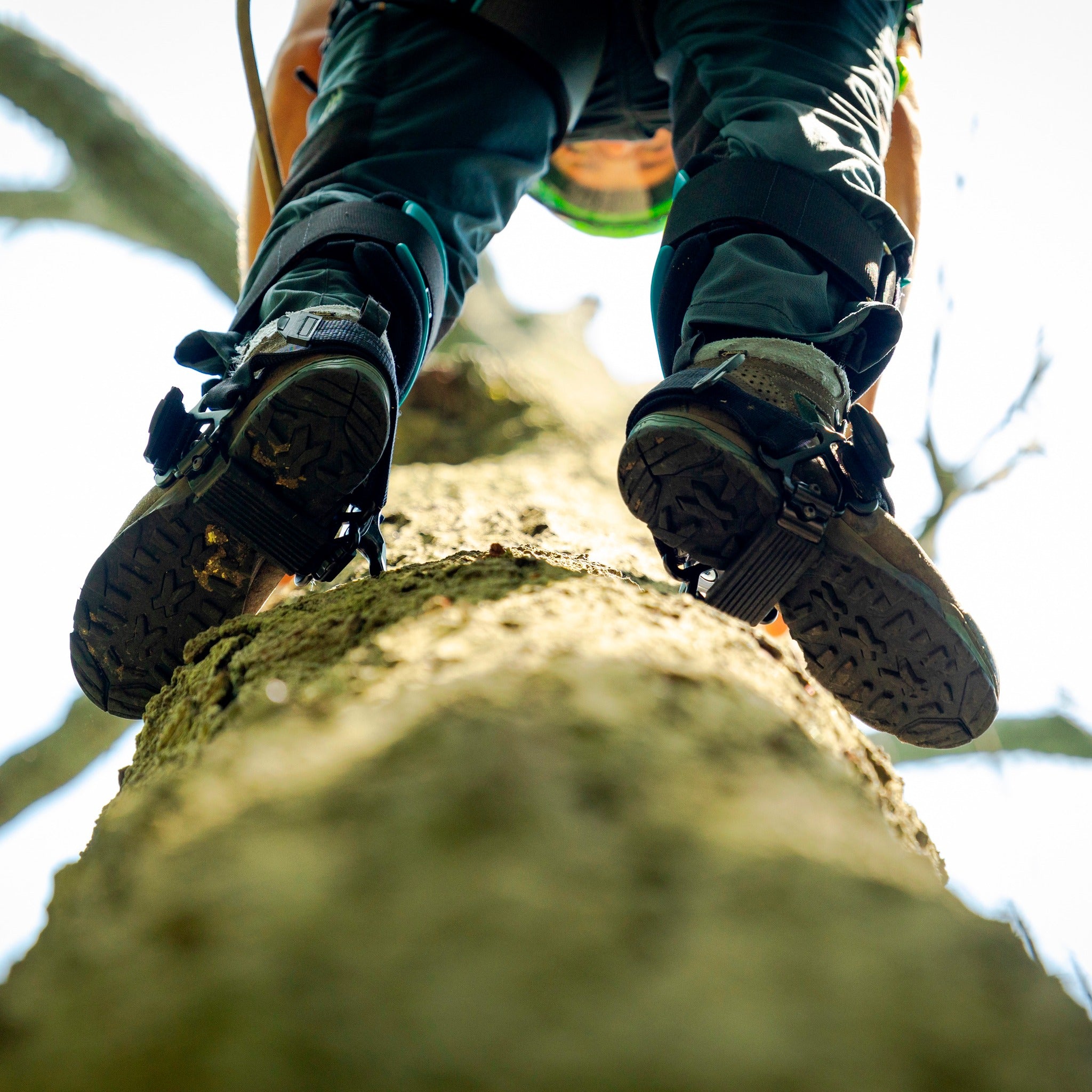 Climbing Spikes