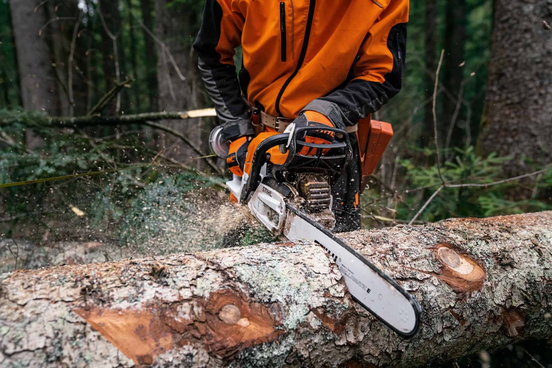 STIHL Agriculture & Horticulture Chainsaws