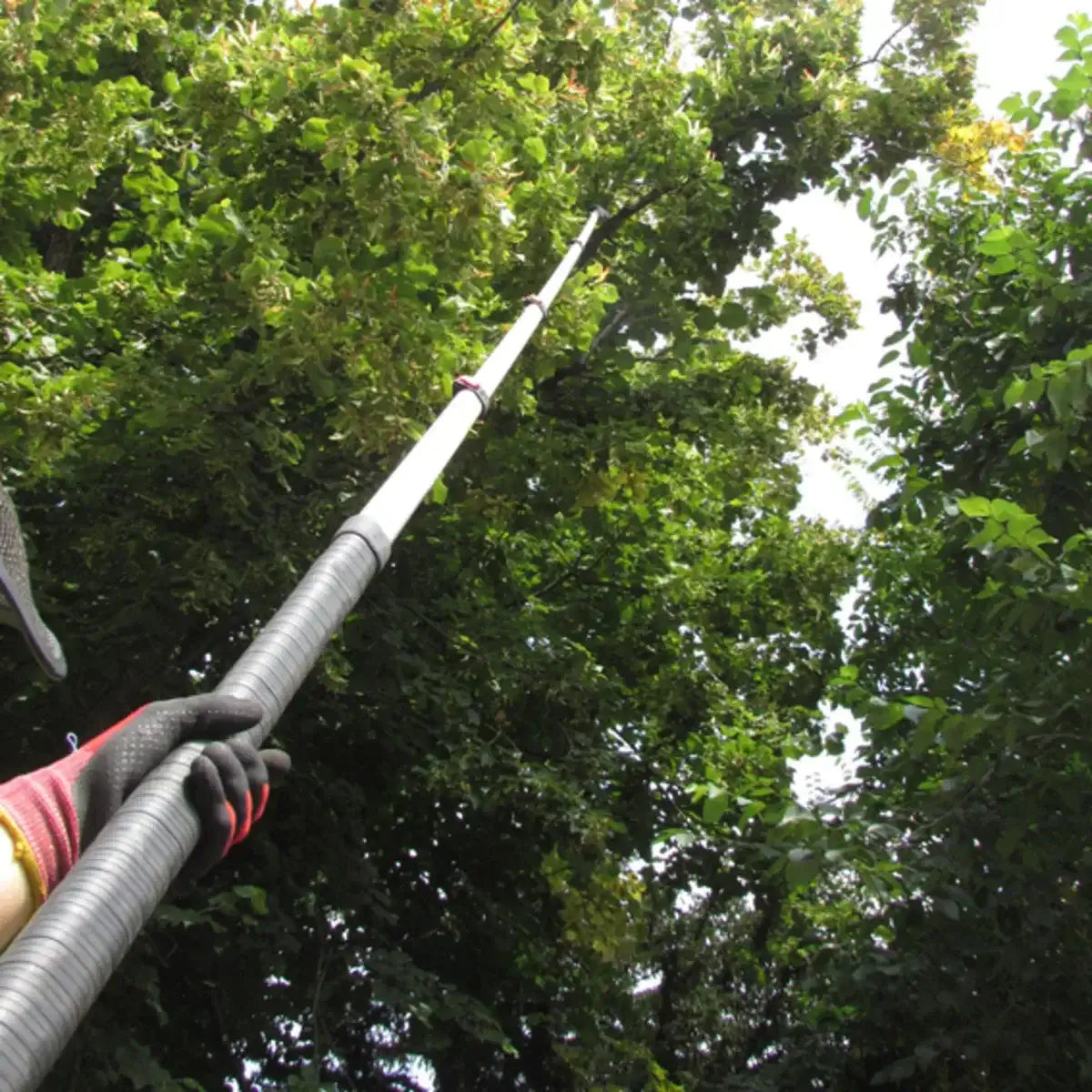 Telescopic Polesaws