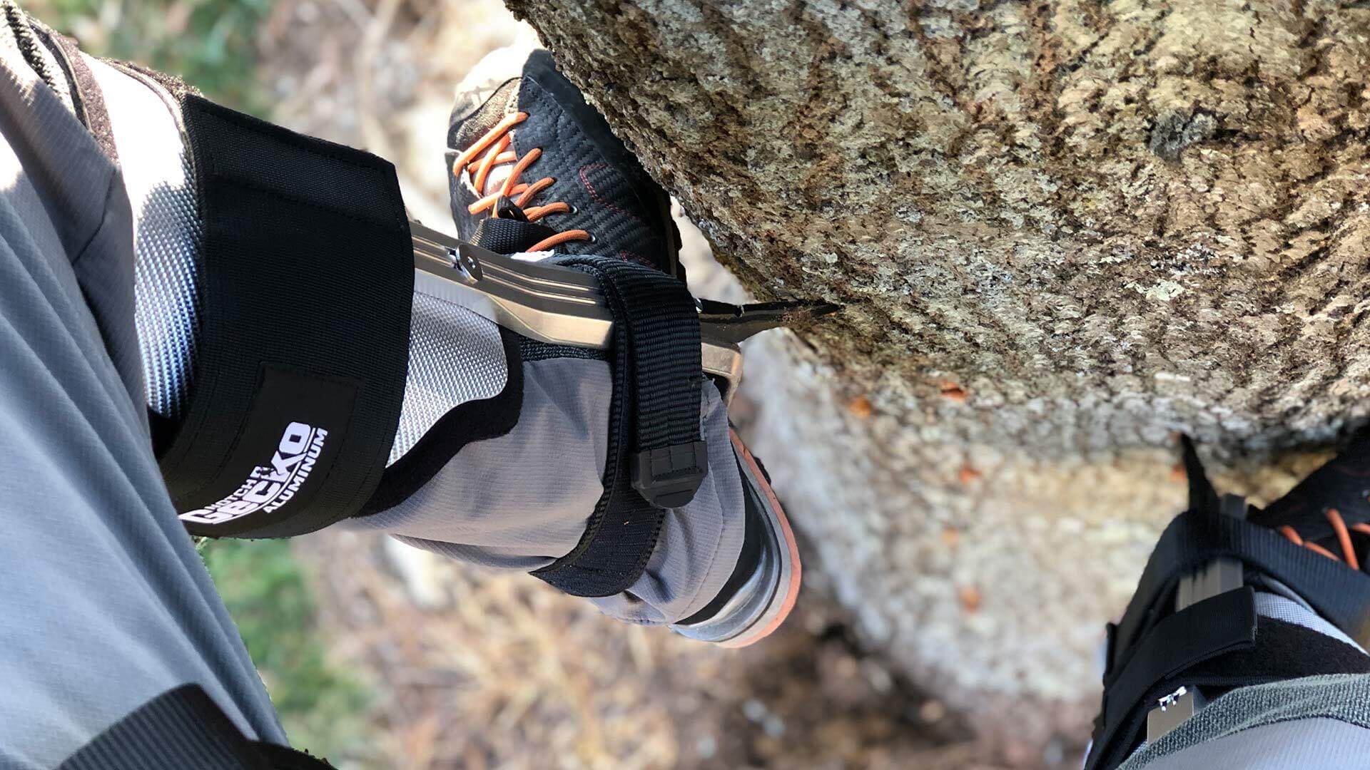 Tree Climbing Spikes